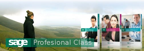 Profesional Class: Gestión del Despacho